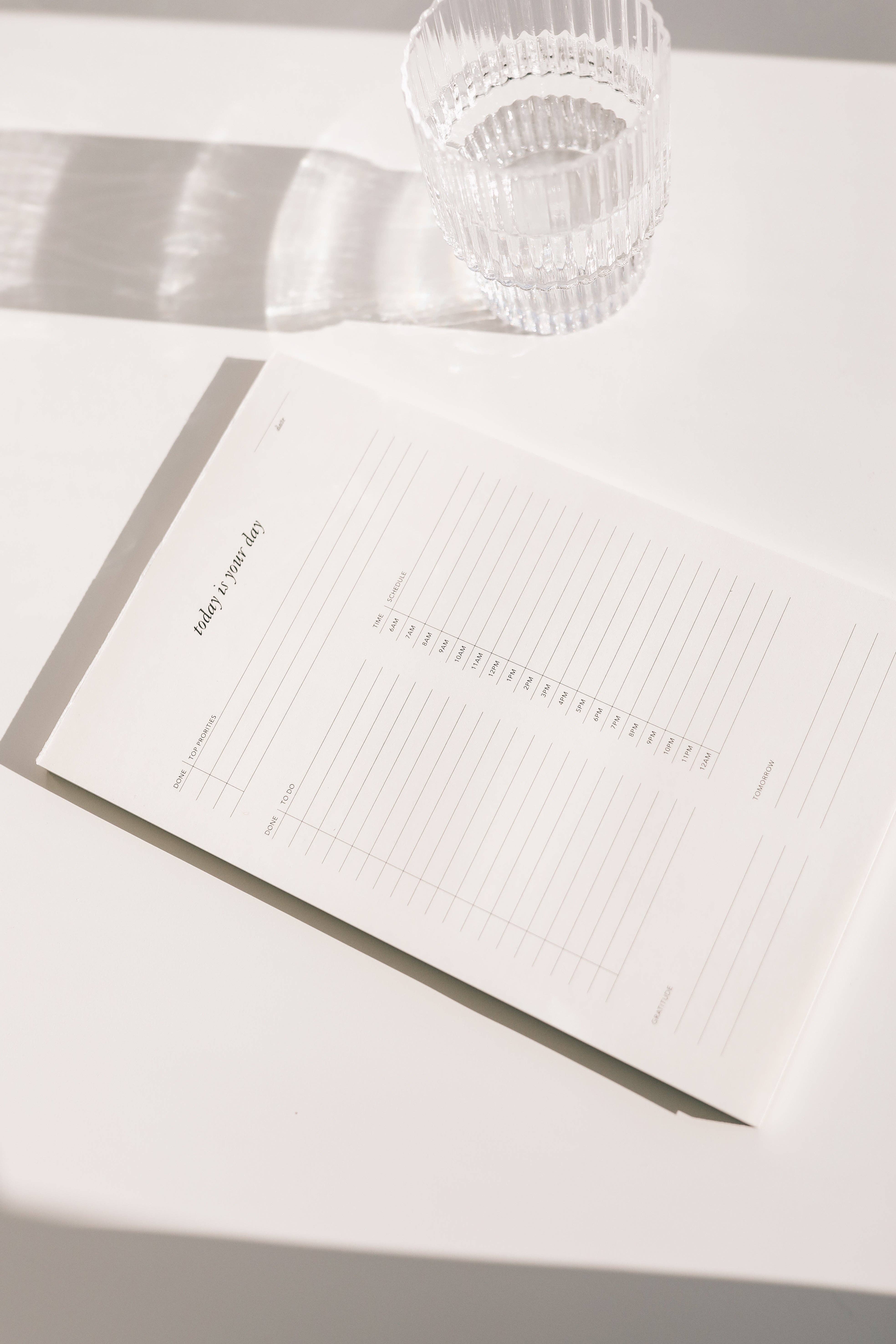 Strawberry Goose - Wholesale Kladblok - Today is Your Day dagelijkse notitieblok5