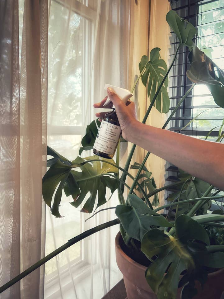 No. 15 Room + Linen Spritz for wholesale by Callie Decor:: 🎨Hand-painted