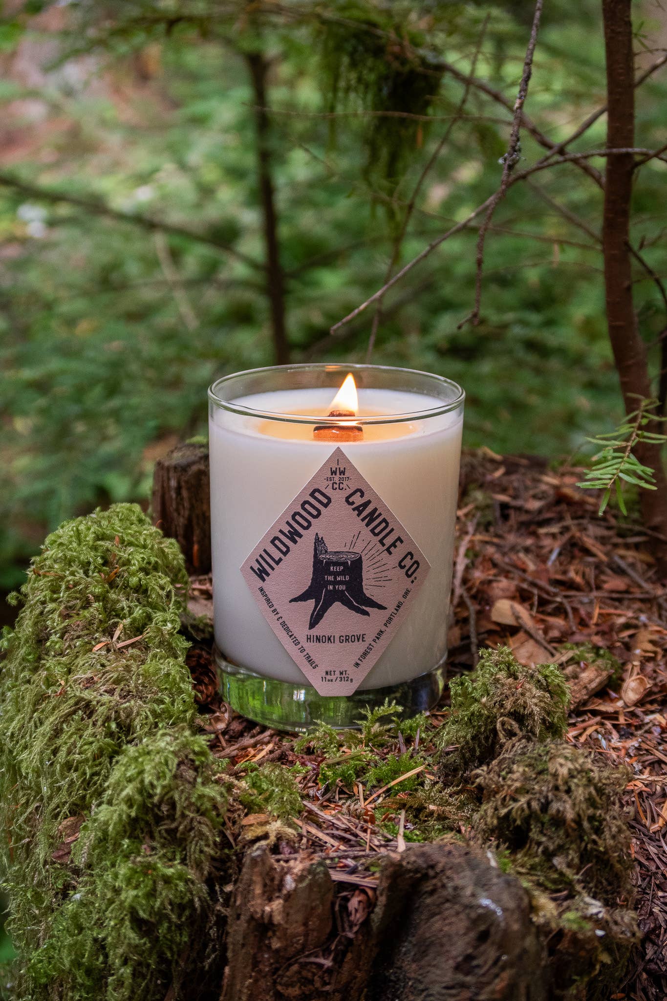 Wildwood Candle Co. - Wholesale Jar/Filled Candle - 11 oz Hinoki Grove Soy Candle - cypress, hinoki, pepper1