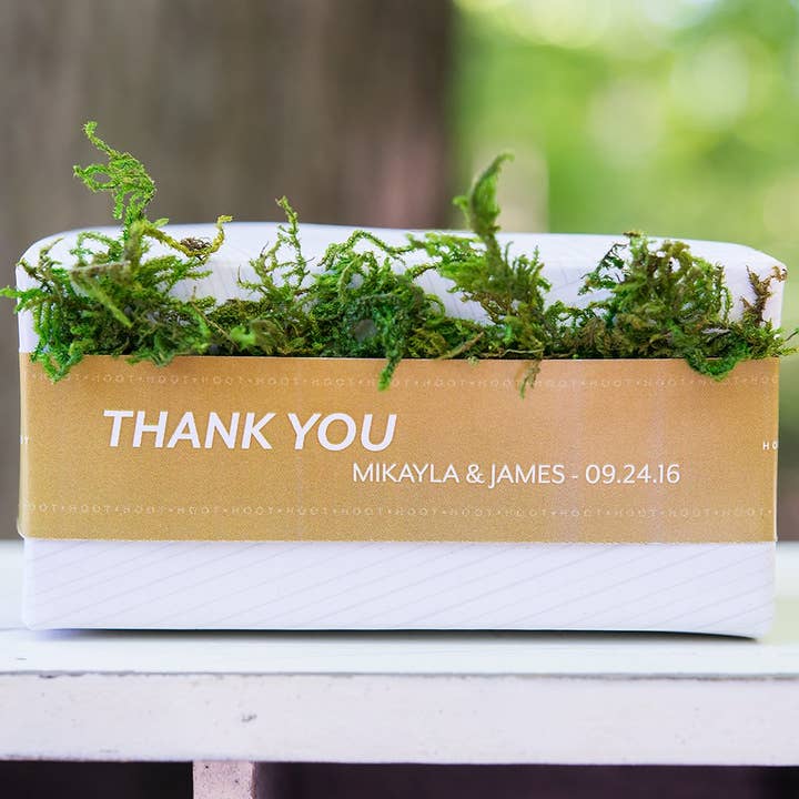 Weddingstar Inc. – wholesale Ribbon – Gift wrapping – Roll Of Faux Moss Ribbon