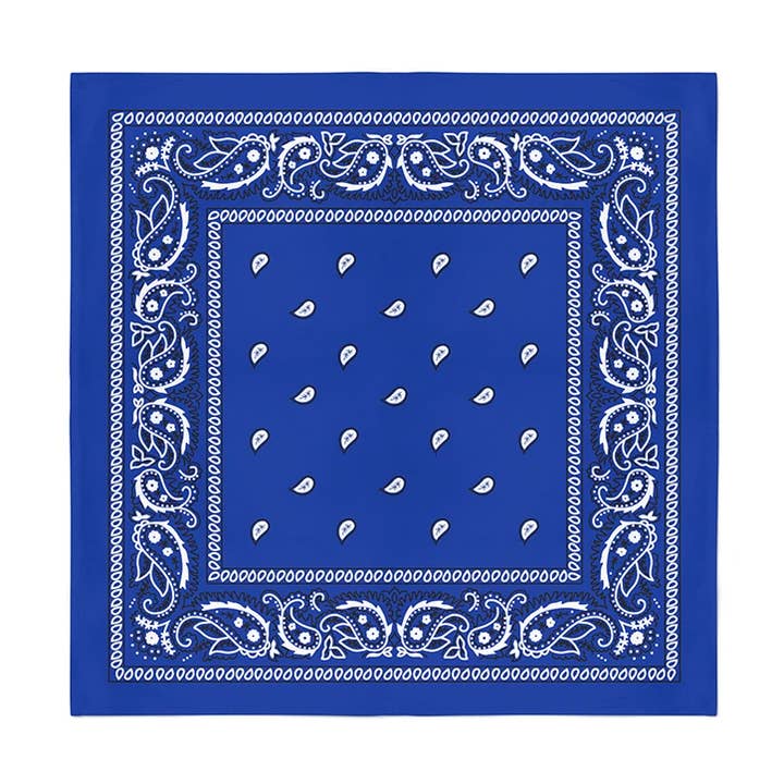 12 Pack Polyester Bandanas Paisley - 22 Inches for wholesale by Bandanas Wholesale