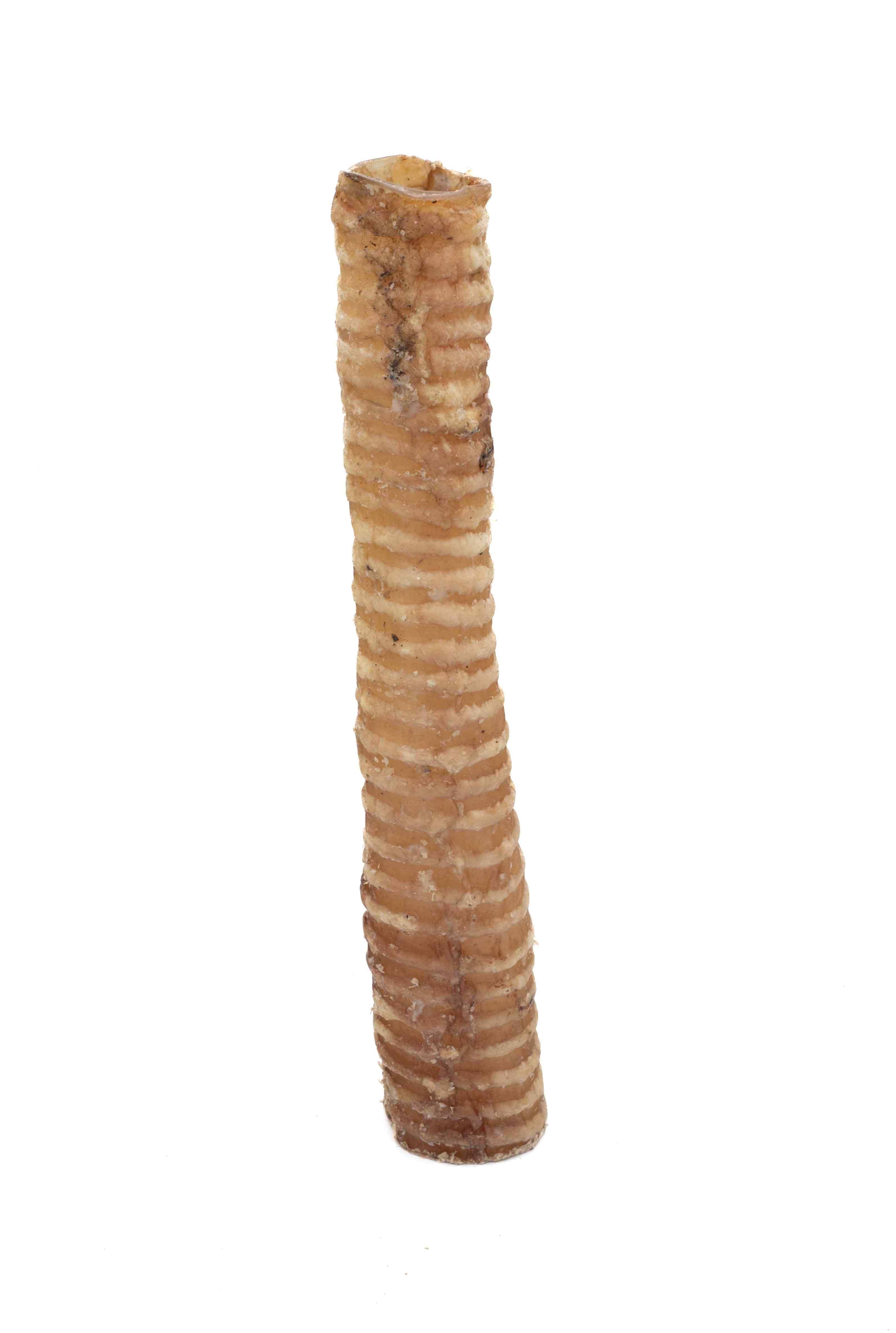 Furever Pure - Wholesale Pet Treats - Dog - 12" Beef Trachea (1 Pc)1