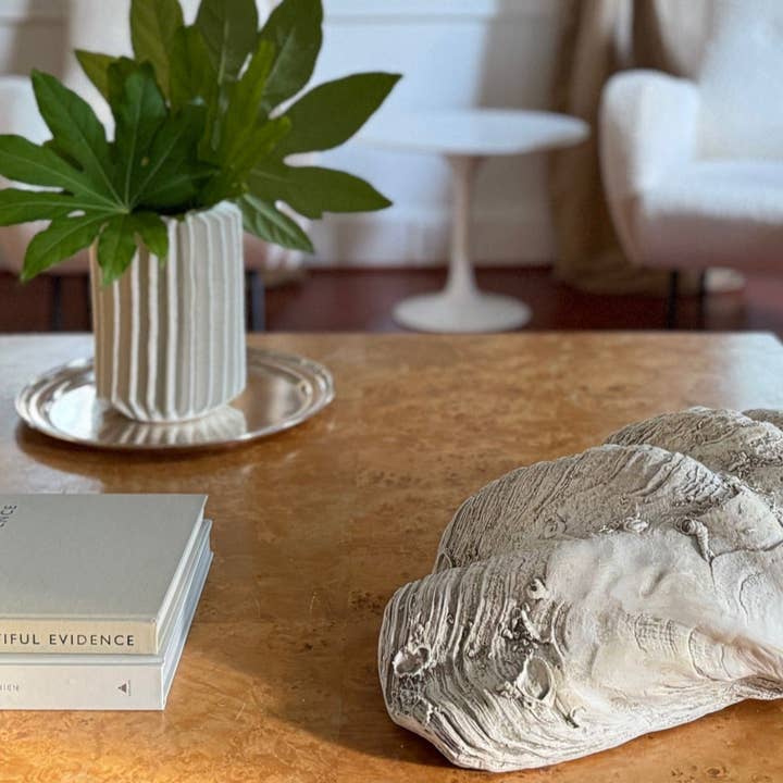 House Parts, Inc. - Wholesale Decorative Tabletop Object - South Pacific Clam Shell11