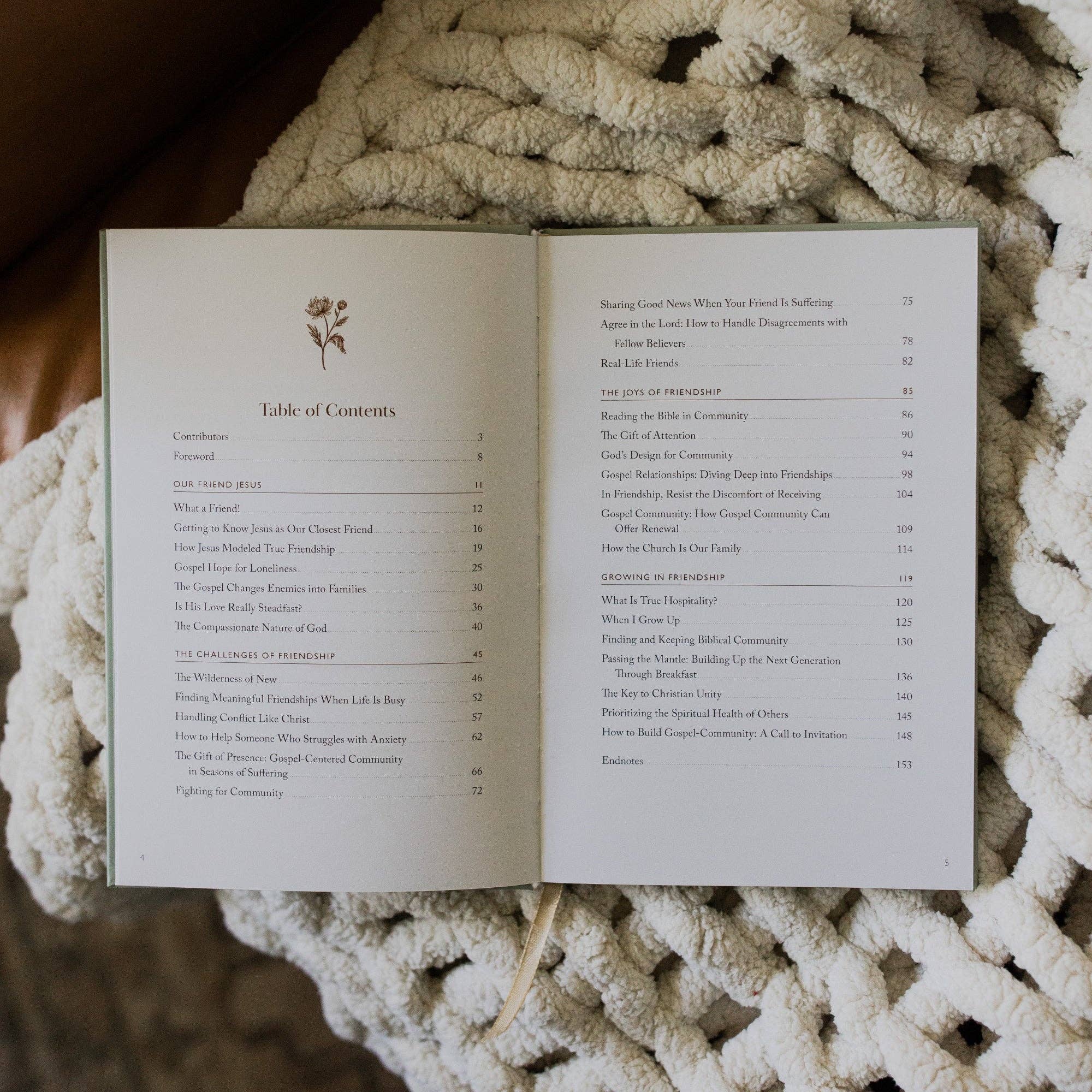 The Daily Grace Co - Wholesale Religion - What A Friend We Have in Jesus | A Collection of Essays on Friendship With Jesus and Others1