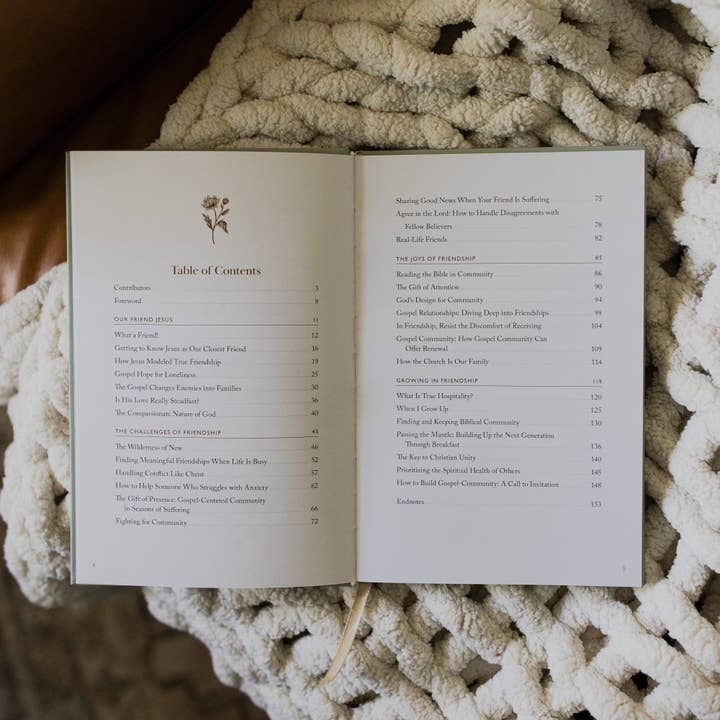 The Daily Grace Co - Wholesale Religion - What A Friend We Have in Jesus | A Collection of Essays on Friendship With Jesus and Others1