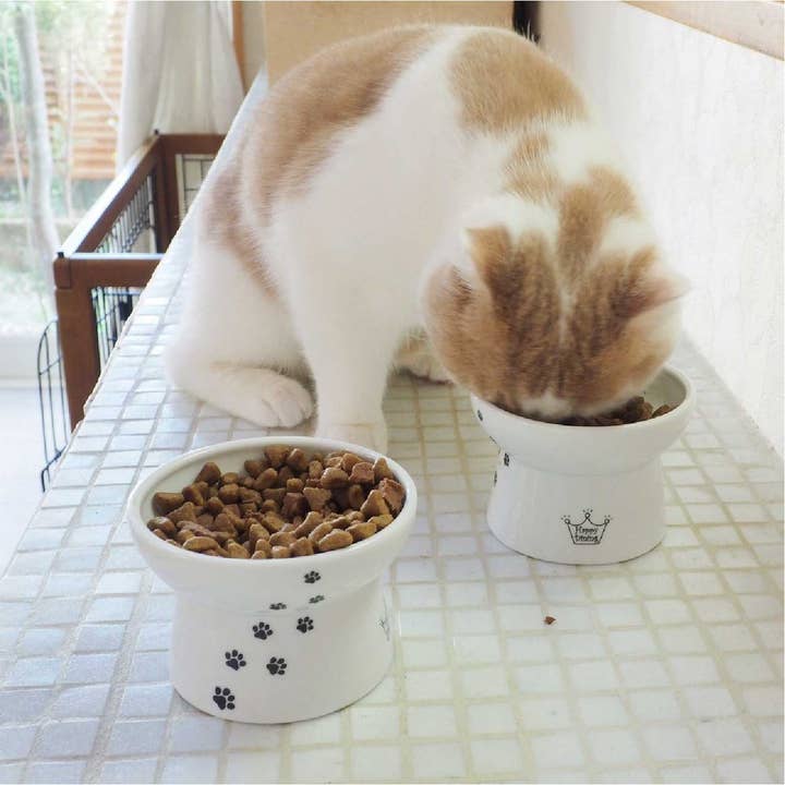 MOON-X USA, INC. – Großhandel Futternapf – Katze/Hund – Erhöhter Futternapf für Katzen8