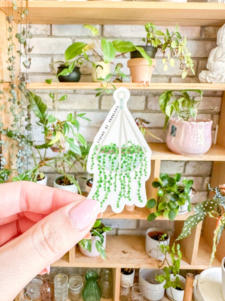 Adesivo "String of Problems" per la vendita all'ingrosso da parte di The Good Teacher Co