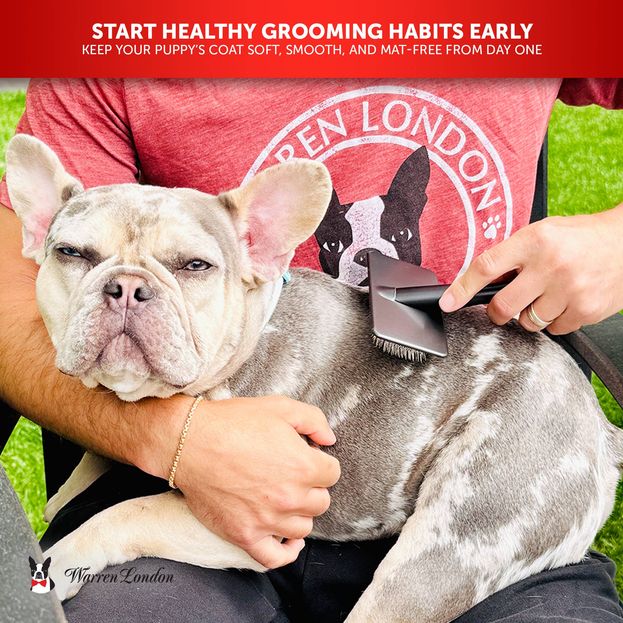 Warren London Dog Products - Wholesale Pet grooming tool – Dog - Gentle Touch Slicker Brush4