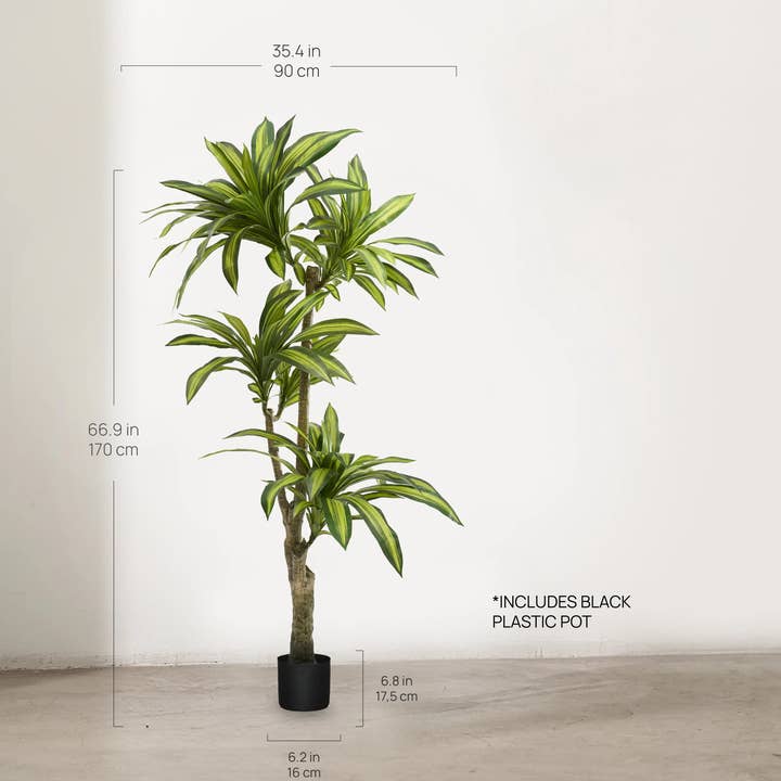 Maia Shop: No Duties for the US - Wholesale Artificial Plant - 5.6' Artificial Dracaena Tree 3