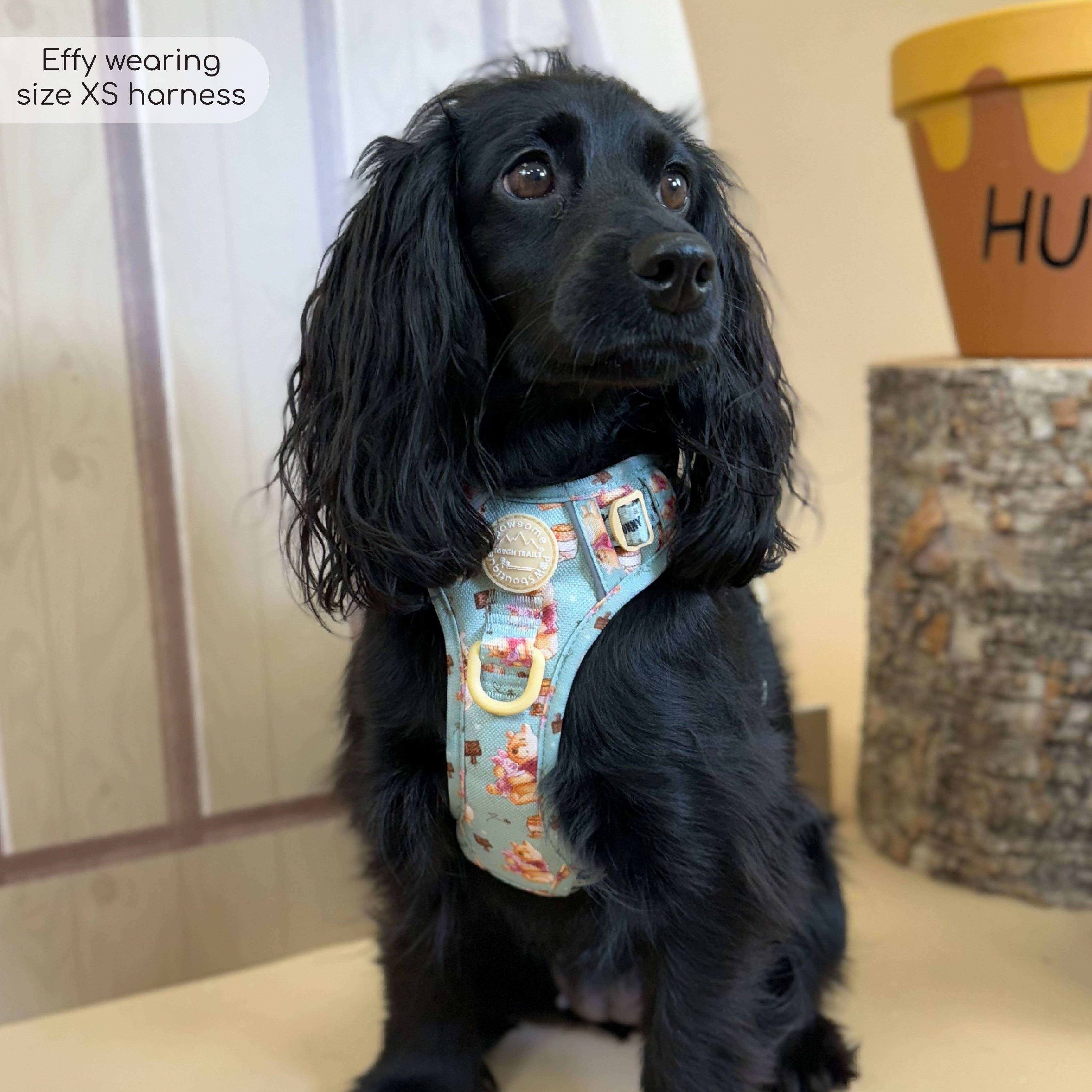 Pawsome Paws – Großhandel Haustiergeschirr – Hund – Disney© Tough Trails™ Geschirr – Winnie Puuh6