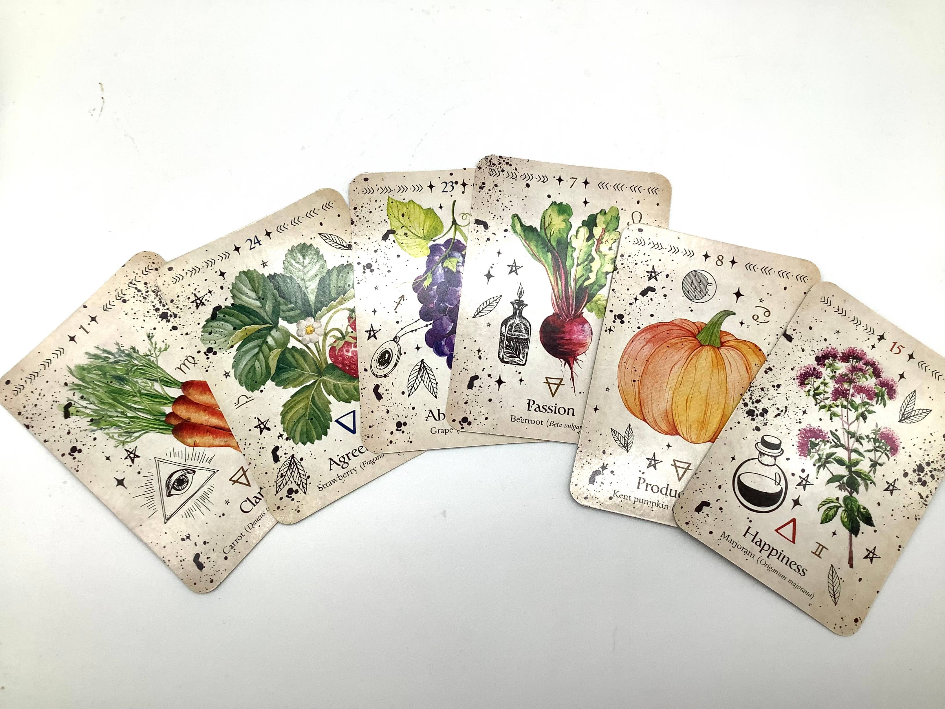 All Little Cute Things - Wholesale Tarot cards - Green Witch Herbalist Tarot Cards Deck. Oracle Gift4