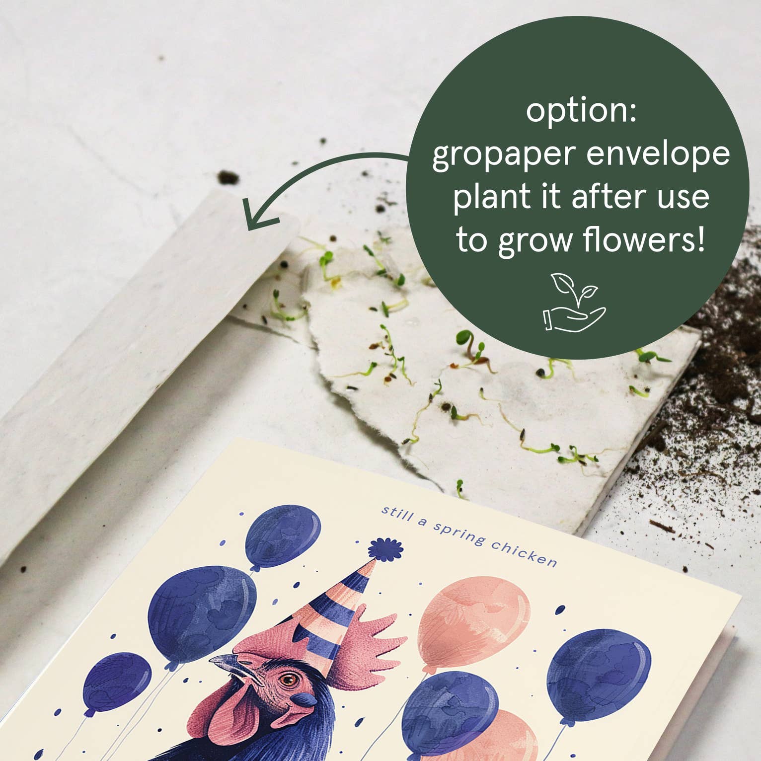 Botanopia - gifts , decor and cards for plant lovers - Wholesale Birthday Card - Still a spring chicken | Funny Birthday Cards7