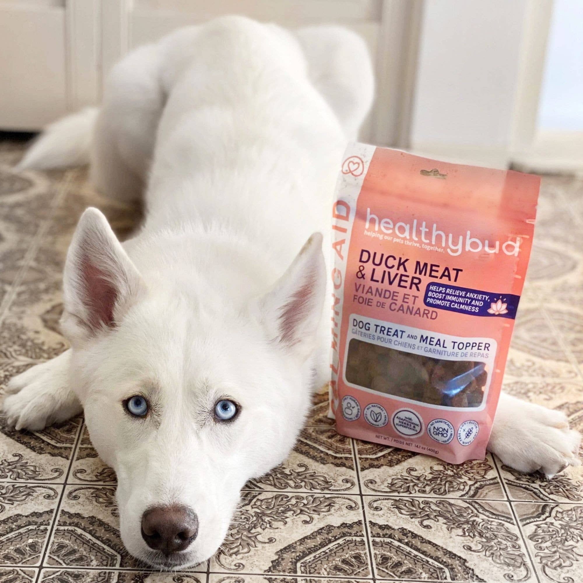 Healthybud - Wholesale Pet Treats - Dog - Healthybud's Functional Duck Calming Aid Dog Treats5