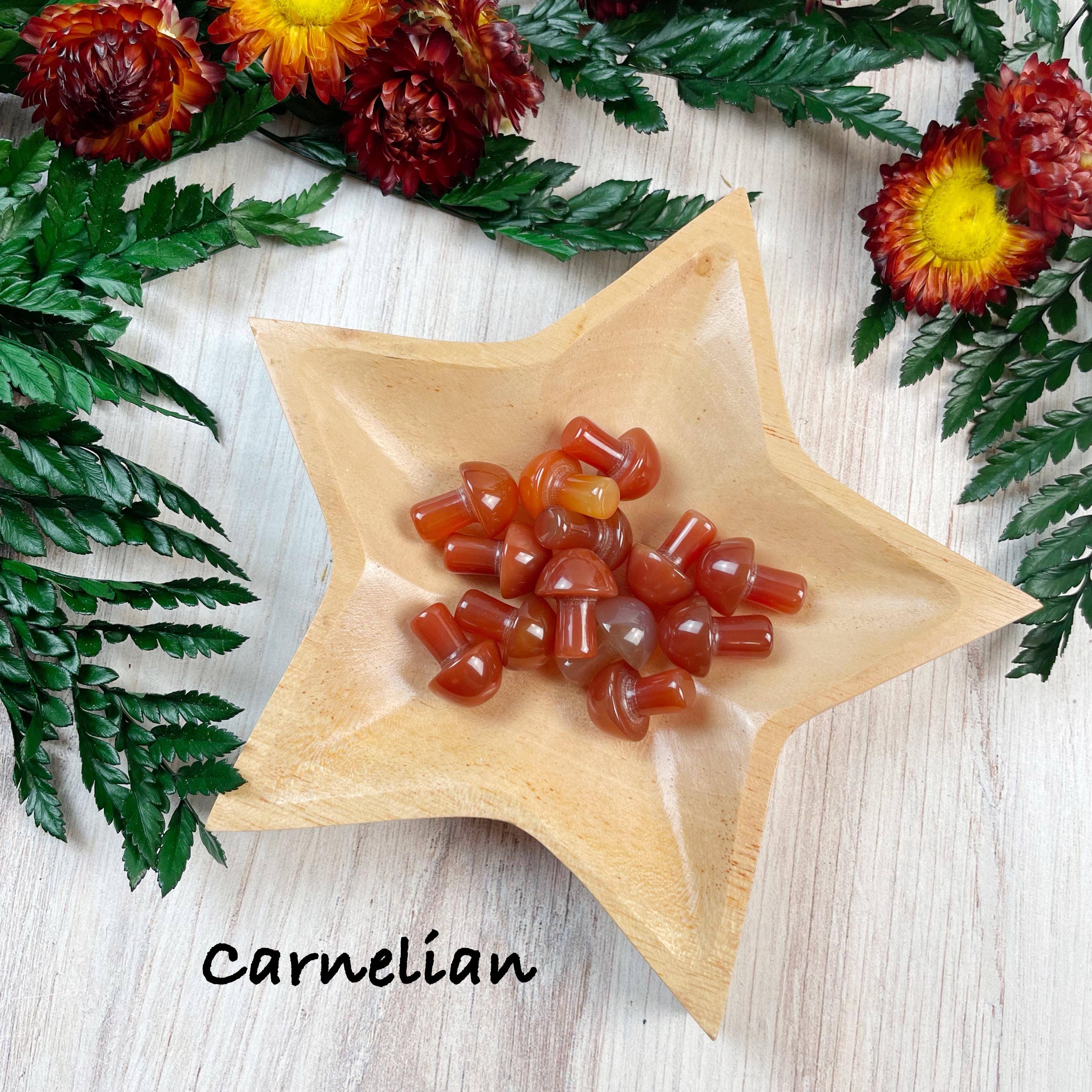 Ewelina Pas Jewelry - Wholesale Spiritual Stone/Crystal - MINI Gemstone Mushroom Pocket Stone21