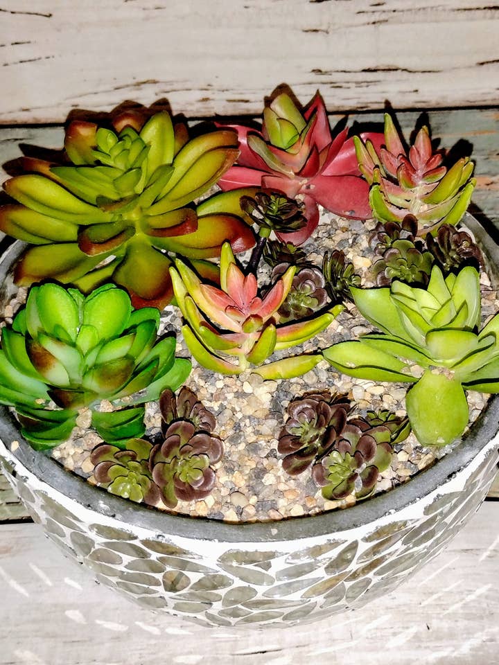 Jardin de plantes grasses dans un bol mosaïque de 8 pouces pour la vente par Ethereal Elements CT