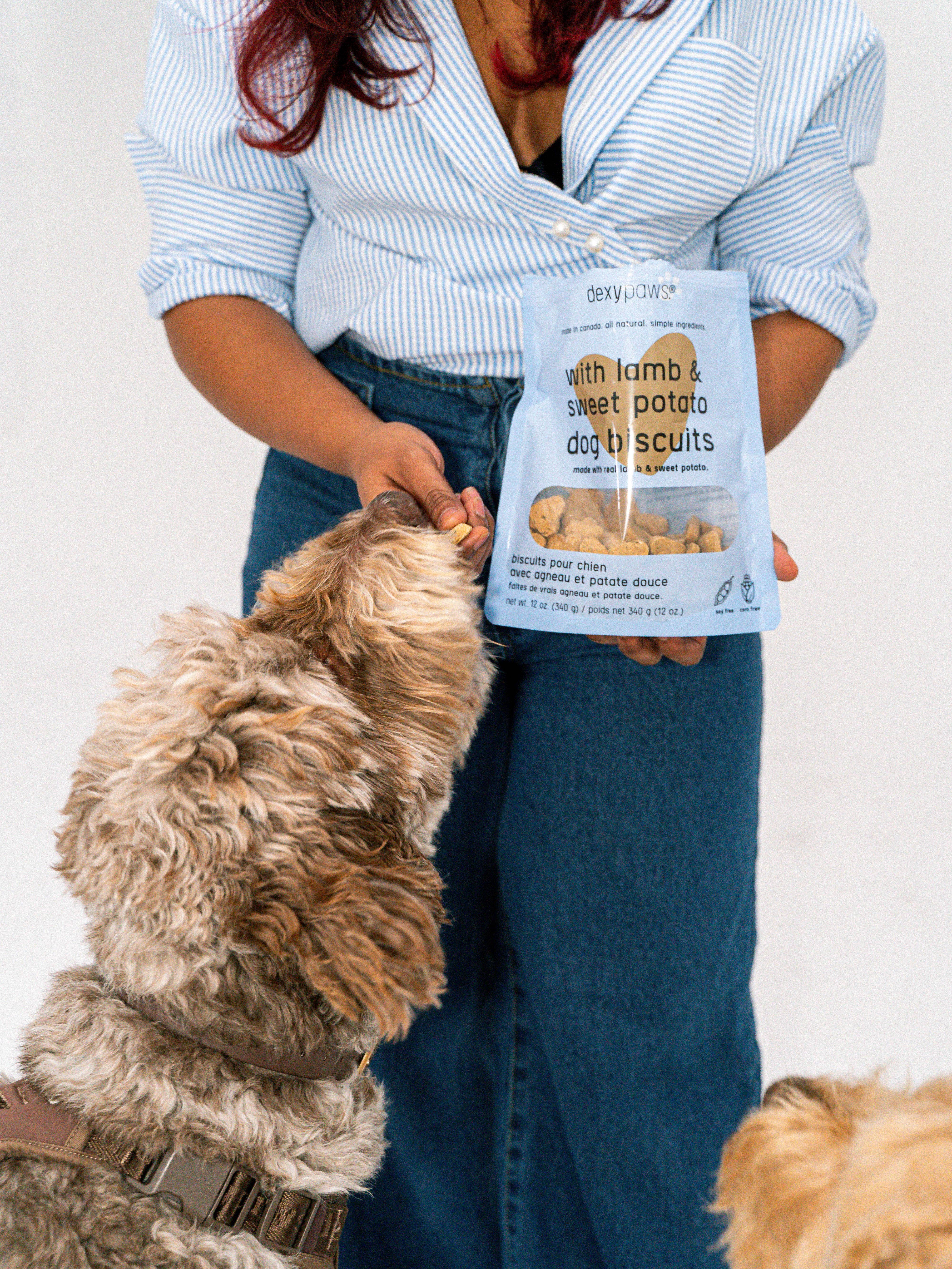 dexypaws – wholesale Godis - Hund – Hundgodis med lamm och sötpotatis1