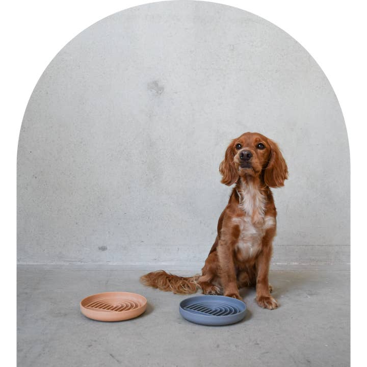 The Cahli Bowl - Slow Feeder & Lick Bowl in Steel Blue for wholesale on Faire4