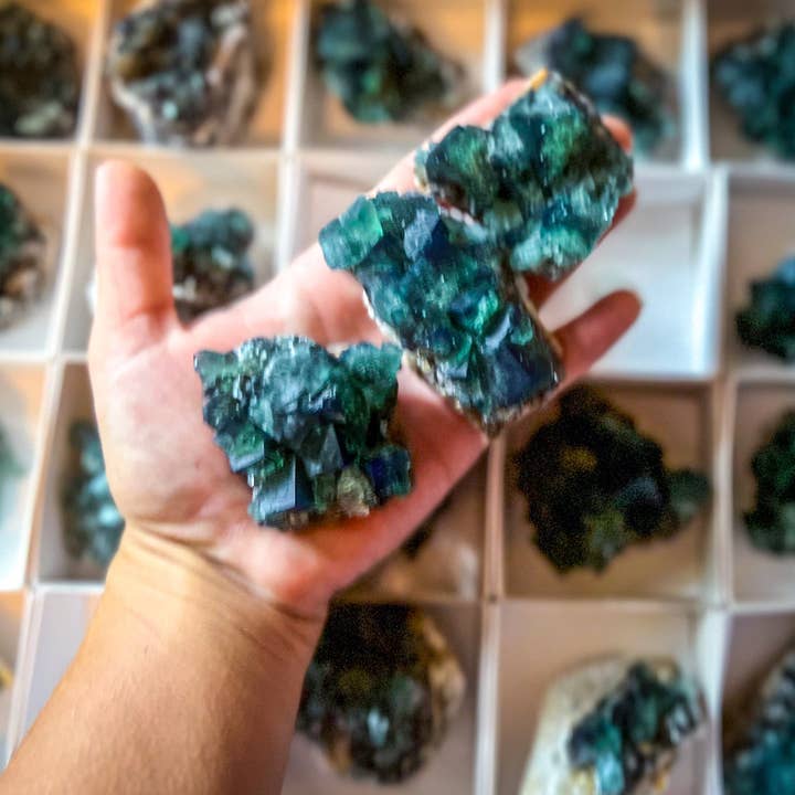 Mandala Gems - Venta al por mayor Piedras/cristales espirituales - Cúmulos de fluorita Hidden Forest Pocket, mina Diana Maria, Da