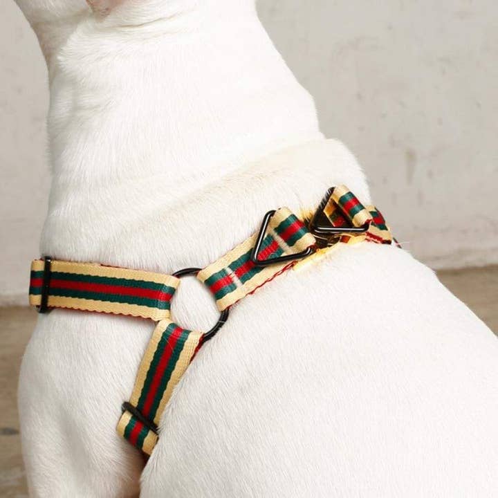 Saint Rue - Wholesale Pet Harness - Dog - Le Classic Dog Harness10