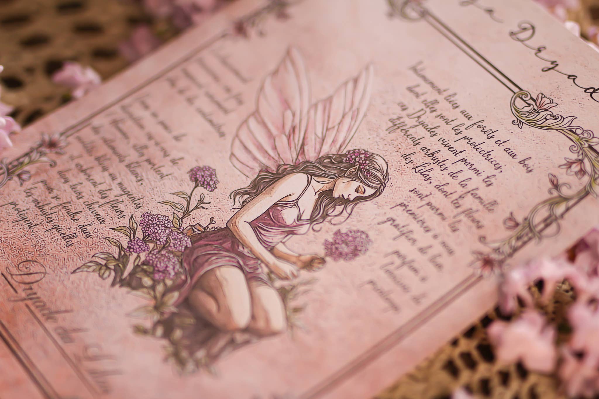 Faërie - Wholesale Art Print - Lilac Dryad4