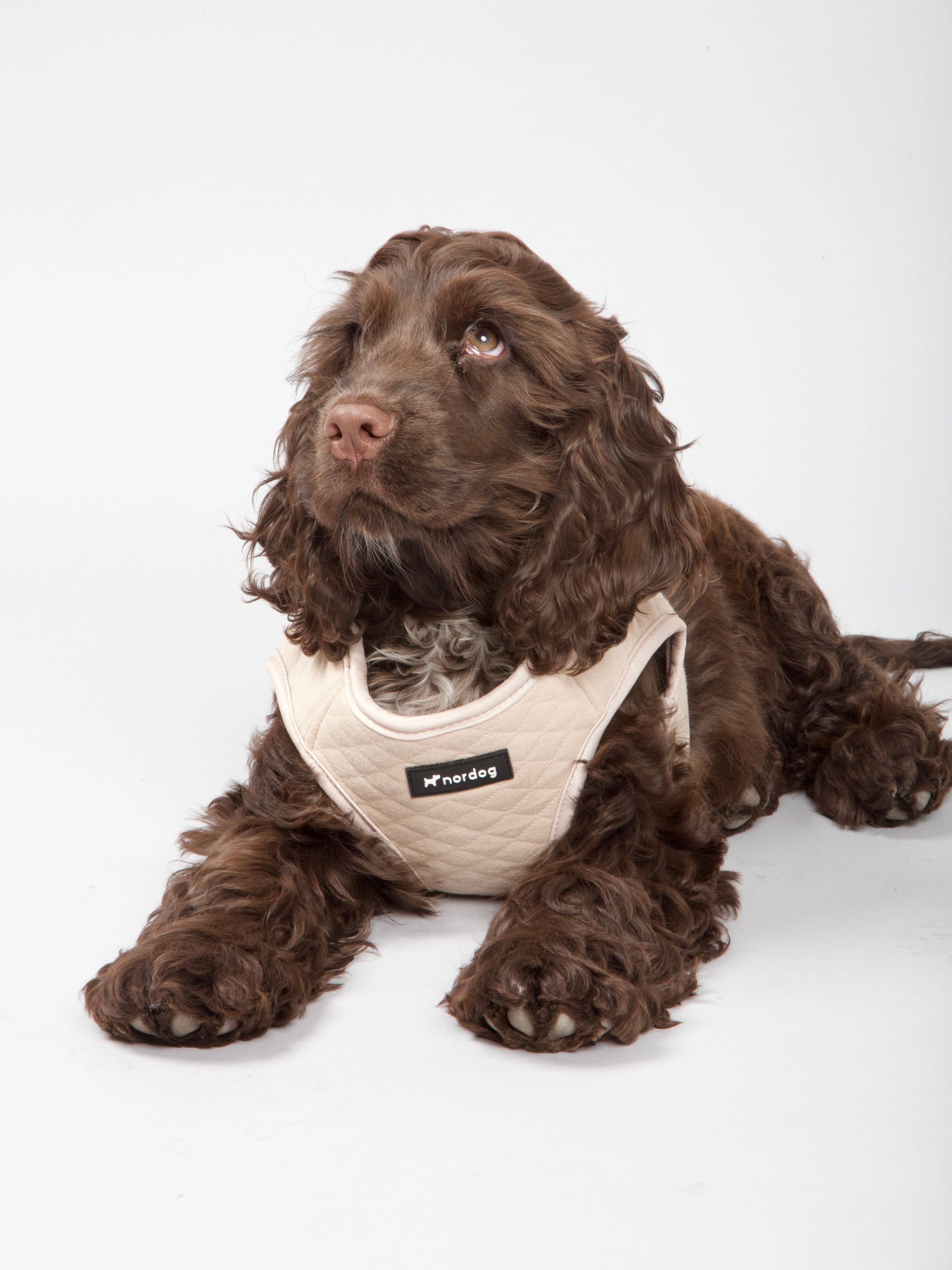 Nordog – wholesale Sele - Hund – Park hundsele beige4