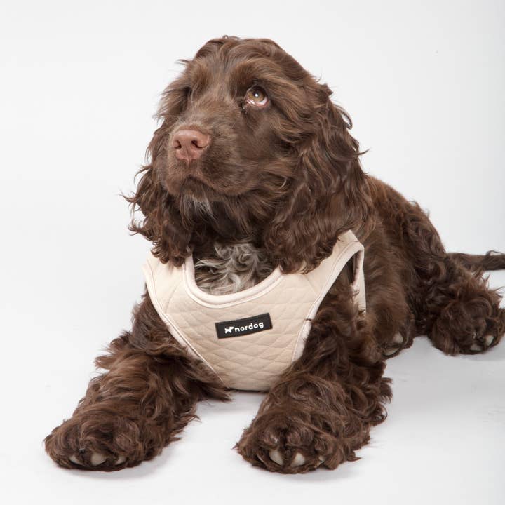 Nordog – wholesale Sele - Hund – Park hundsele beige4