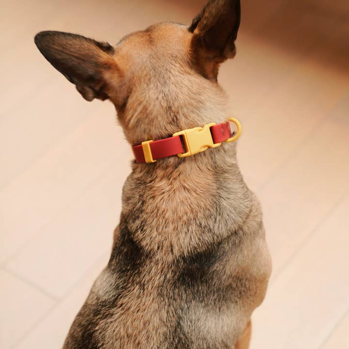 Approved by Fritz BV - Wholesale Pet Collar - Dog - The Fritz Dog Collar Waterproof Easy to Clean Odor Resistant