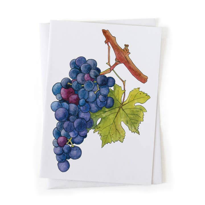 Wander & Gather - Wholesale Everyday greeting card - Pinot Noir Wine Grapes Fruit Garden Botanical 5x7 Card0