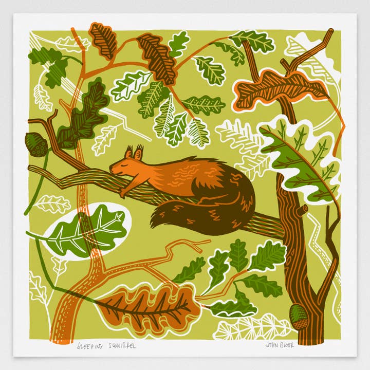 "Sleeping Squirrel" digitally printed print for wholesale by John Bloor Printmaker
