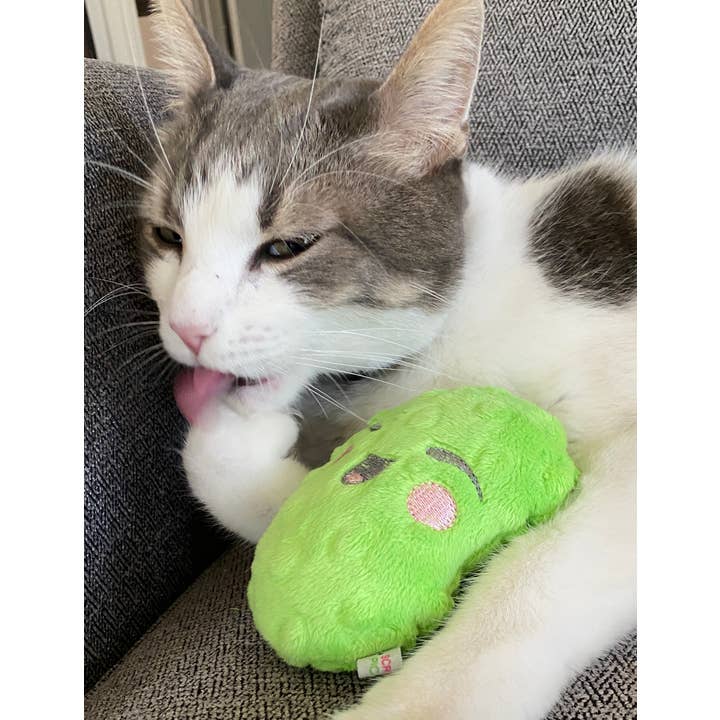 Screaming Pickles - Vente Jouet couineur – chien - Jouets pour animaux de compagnie faits à la main - Catnip/Dog Squeaker Mini Pickle12