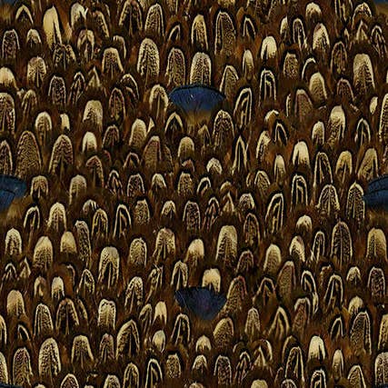 Mineheart – wholesale Wallpaper – Exotic Feathers Yellow and Blue Wallpaper1