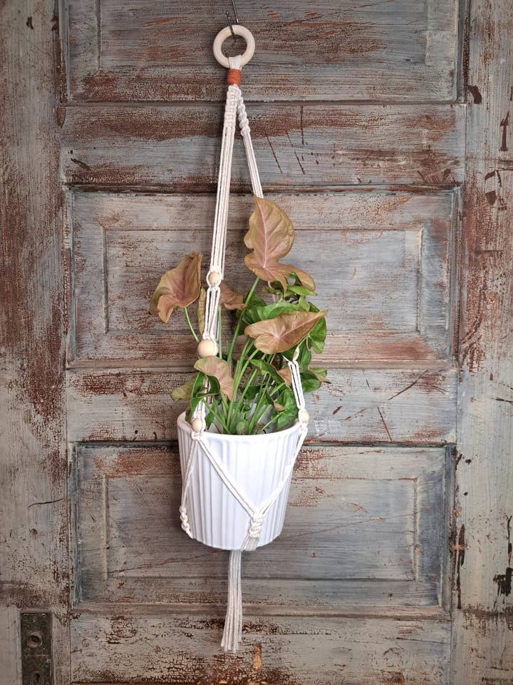 Wood Bead Plant Hanger w/ Contrasting Gathering Knot for wholesale by The plant project