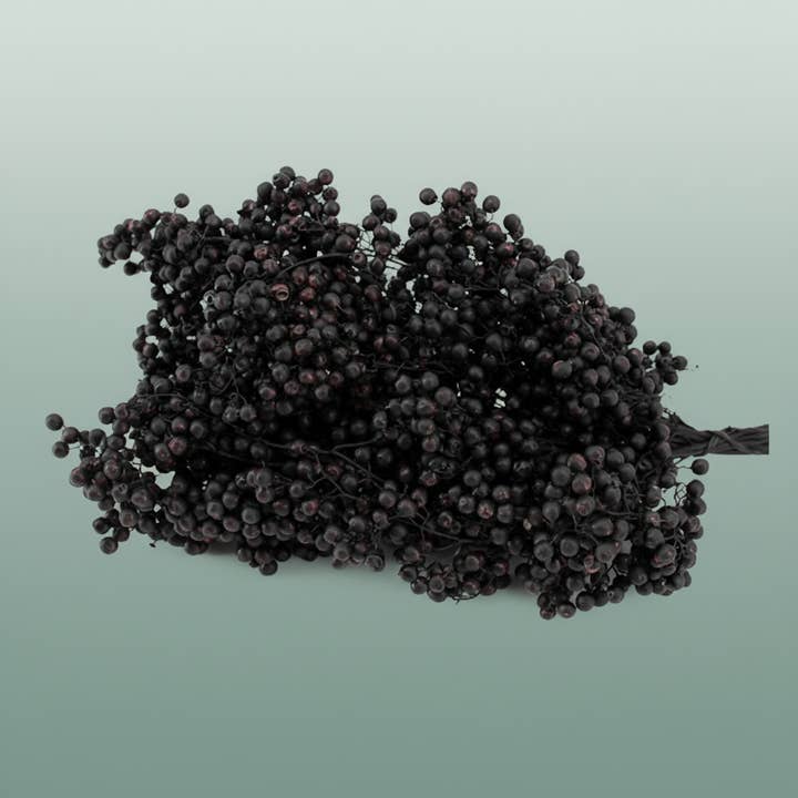 Schinus M Pt Black for wholesale by All Occasions Wholesale