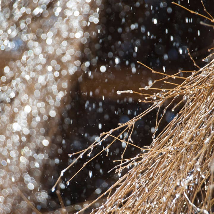 Umami Insider - Wholesale Salt - Moshio "Saredoshio" (Japanese Seaweed Salt), 3.52 oz8