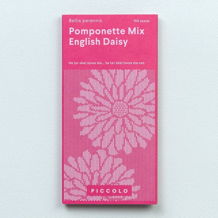 Engelska Daisy Pomponette Mix för wholesale av Piccolo Seeds