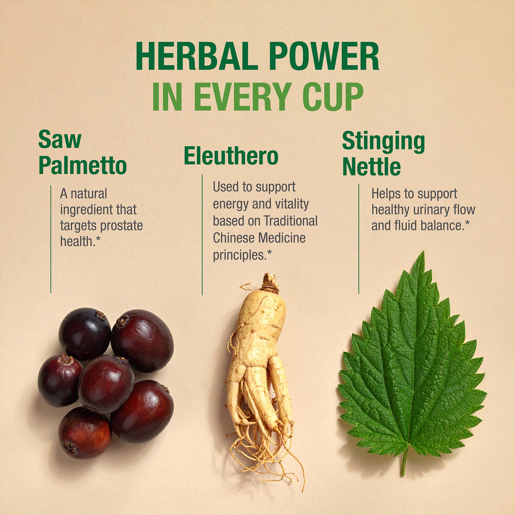 Bell Lifestyle Products Inc. - Wholesale Health/Detox Tea - Ezee Flow Tea™ - Supports Men’s Urinary Flow & Comfort3