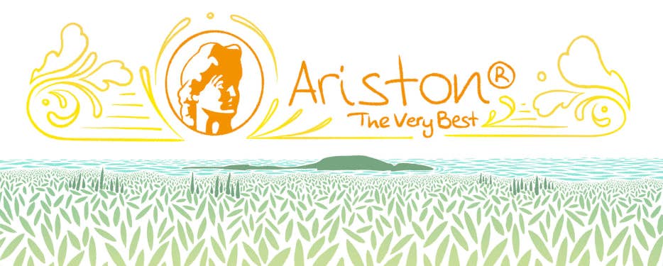 Ariston Specialties - Vente Huile d'olive - Rechargez des bouteilles de marasca VIDES pour certains EVOO 16,9 fl oz10