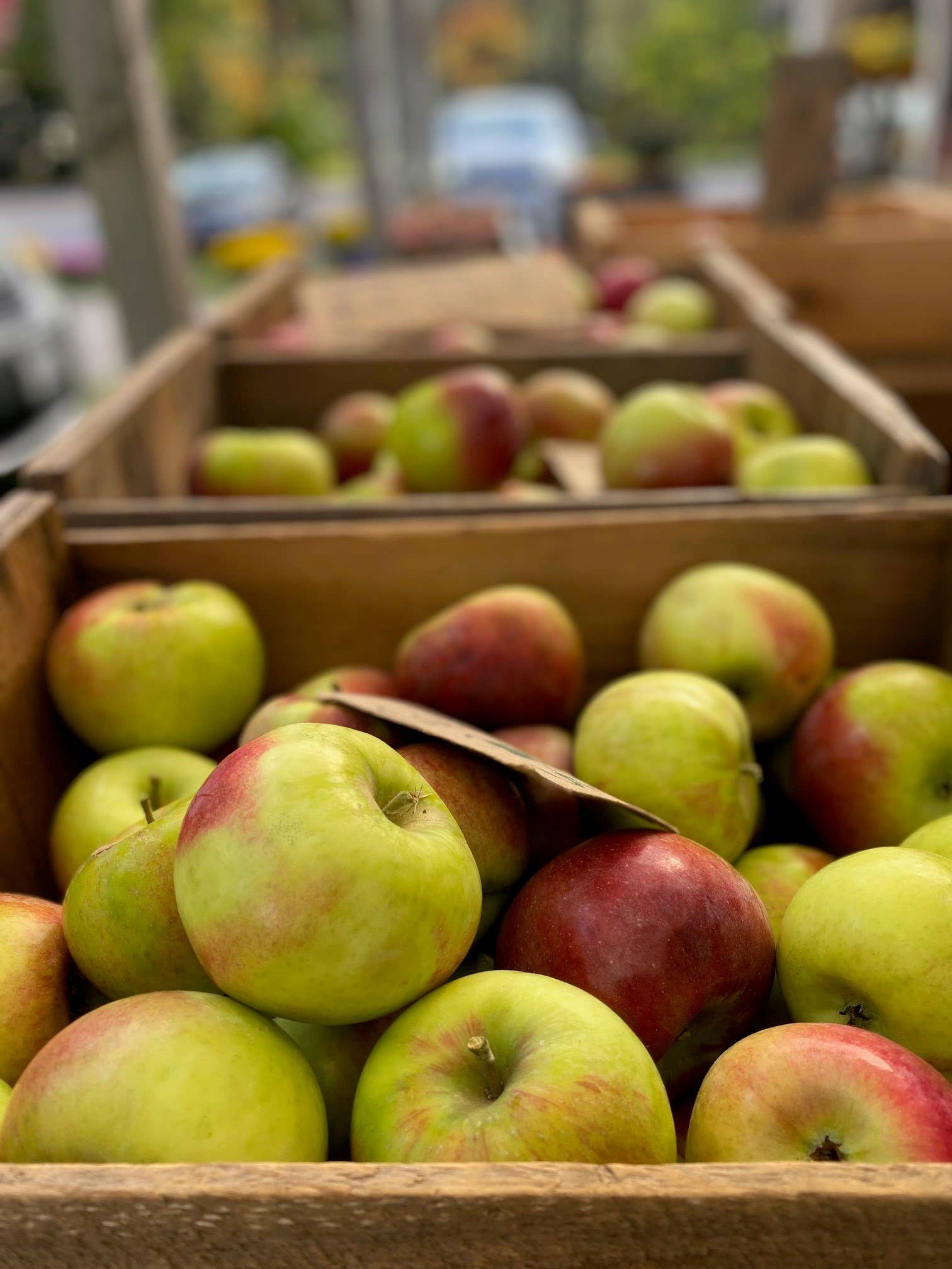 Harvest Maine - Wholesale Dried/Dehydrated Fruit - Harvest Maine Summer Berry Fruit Bite Pummies2