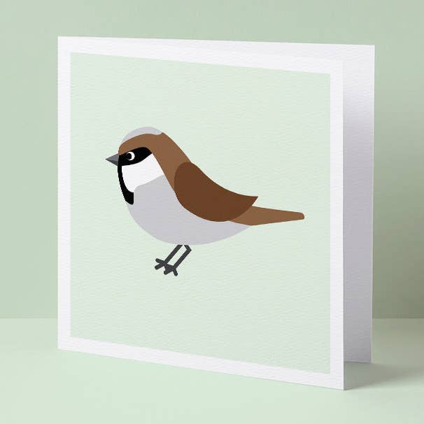 Carta passero domestico per la vendita all'ingrosso da parte di QuastDesign