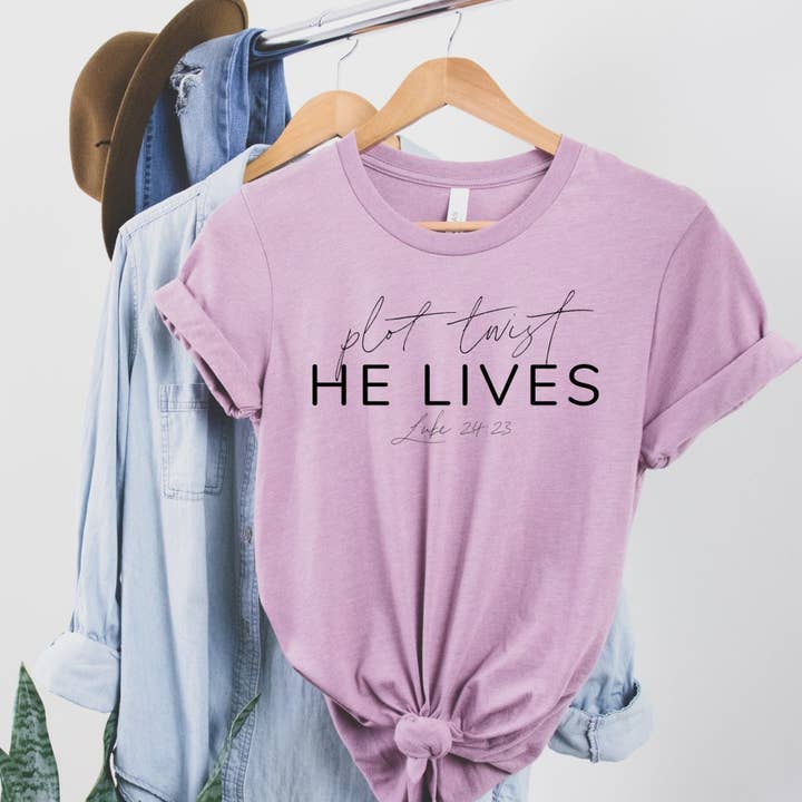 Plot Twist Han Bor - Case for engroshandel hos Top Crate