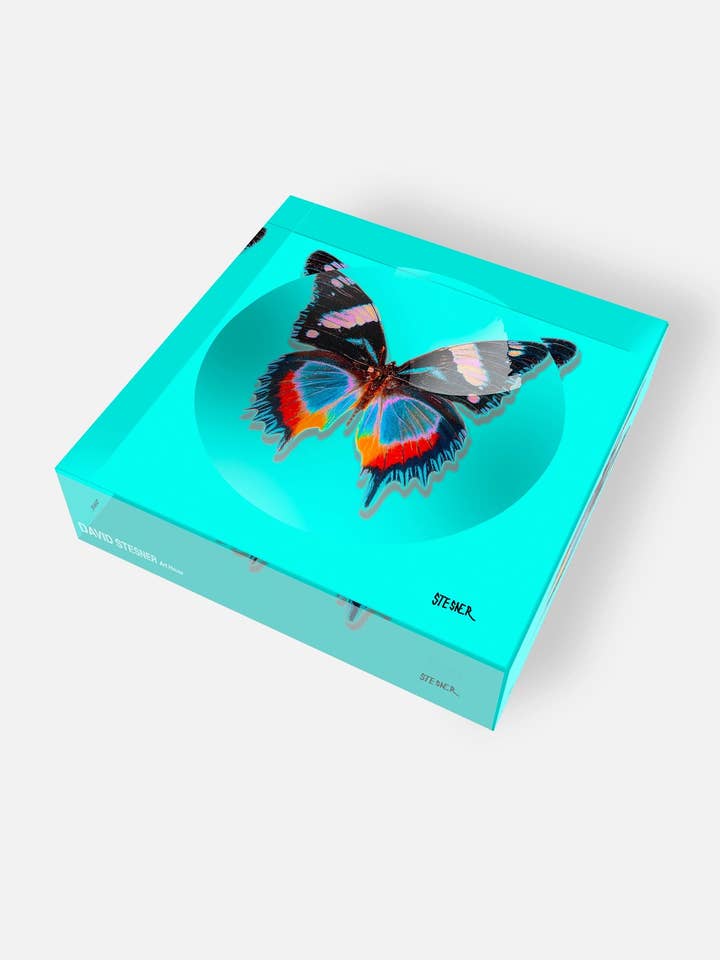 Aqua Flyve Sommerfugl Akryl Smykkeskål for engroshandel hos David Stesner ArtHouse