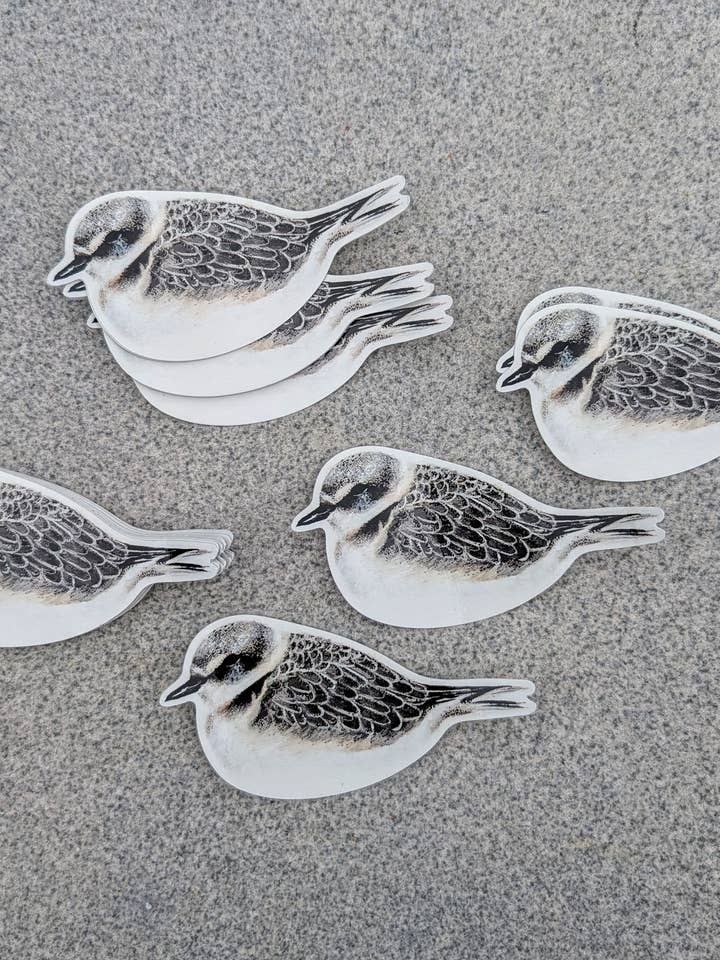 resting snowy plover sticker for wholesale by Hyperglare LLC