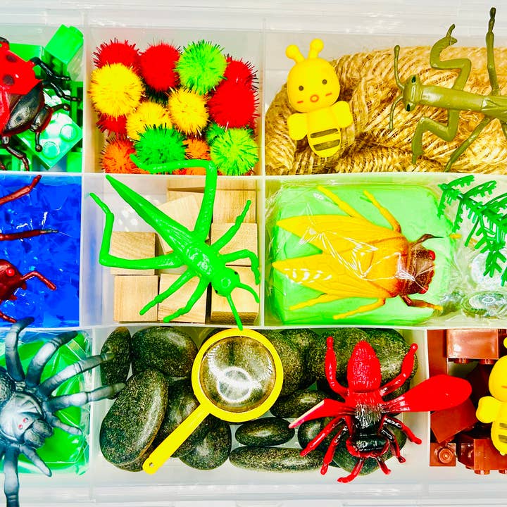 Decorated Dough - Wholesale Putty/Slime - Kids - Insect Take & Play Sensory Kits