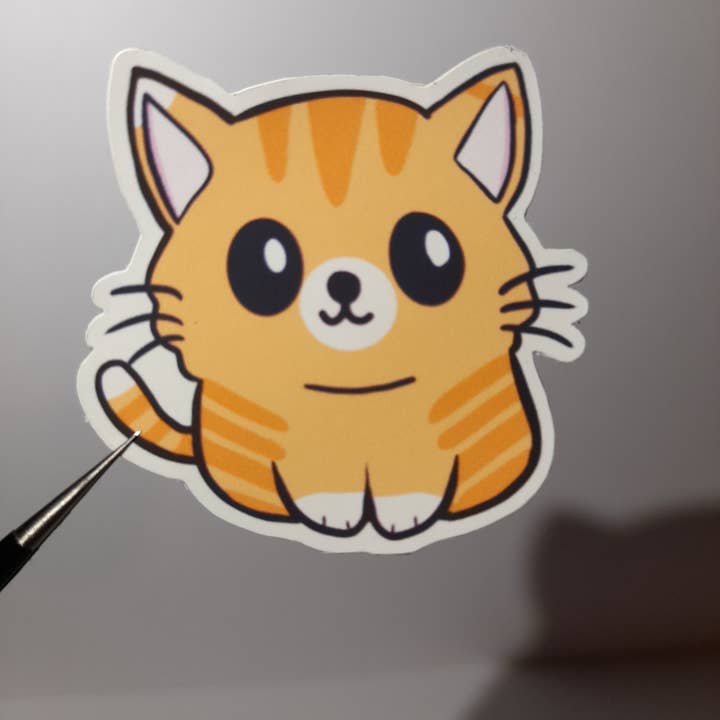 Initial Singularity – Großhandel Aufkleber – Katzen-Aufkleber2