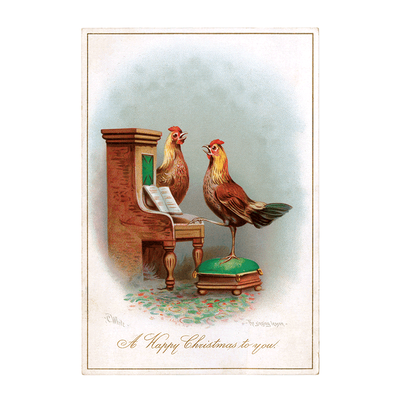 Laughing Elephant - Wholesale Postcard - We Wish You a Crazy Christmas Postcard Book -  Postcards14