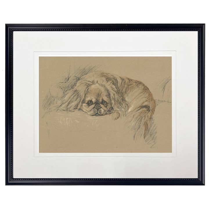 Dog sketch H on brown background for wholesale by Antique Curiosities Inc