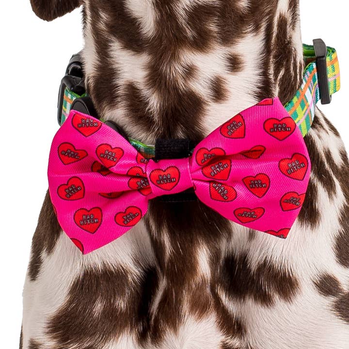 Bad Bitch : NŒUD PAPILLON POUR CHIEN pour la vente par Pablo & Co. Boutique