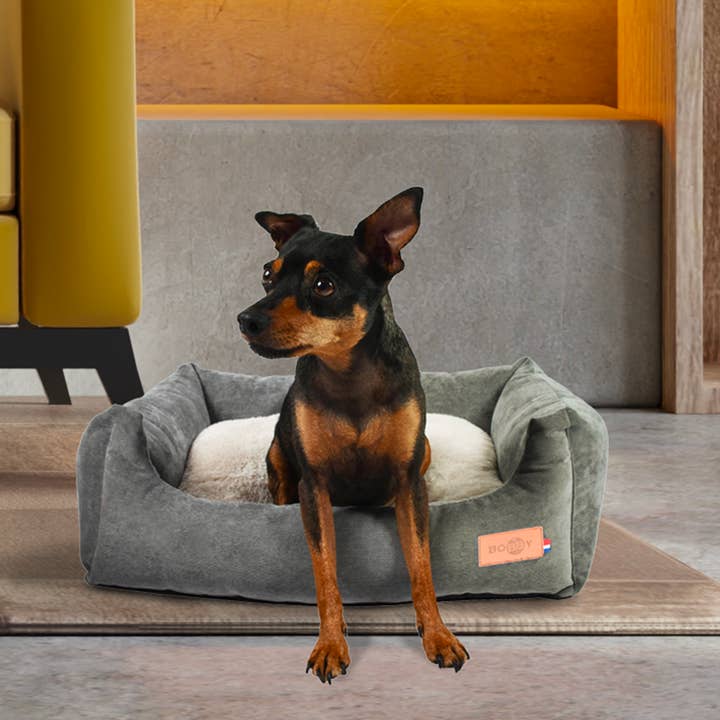 Bobby Canifrance - Wholesale Pet Bed - Cat/Dog - Bobby Daryl rectangular pet bunk2