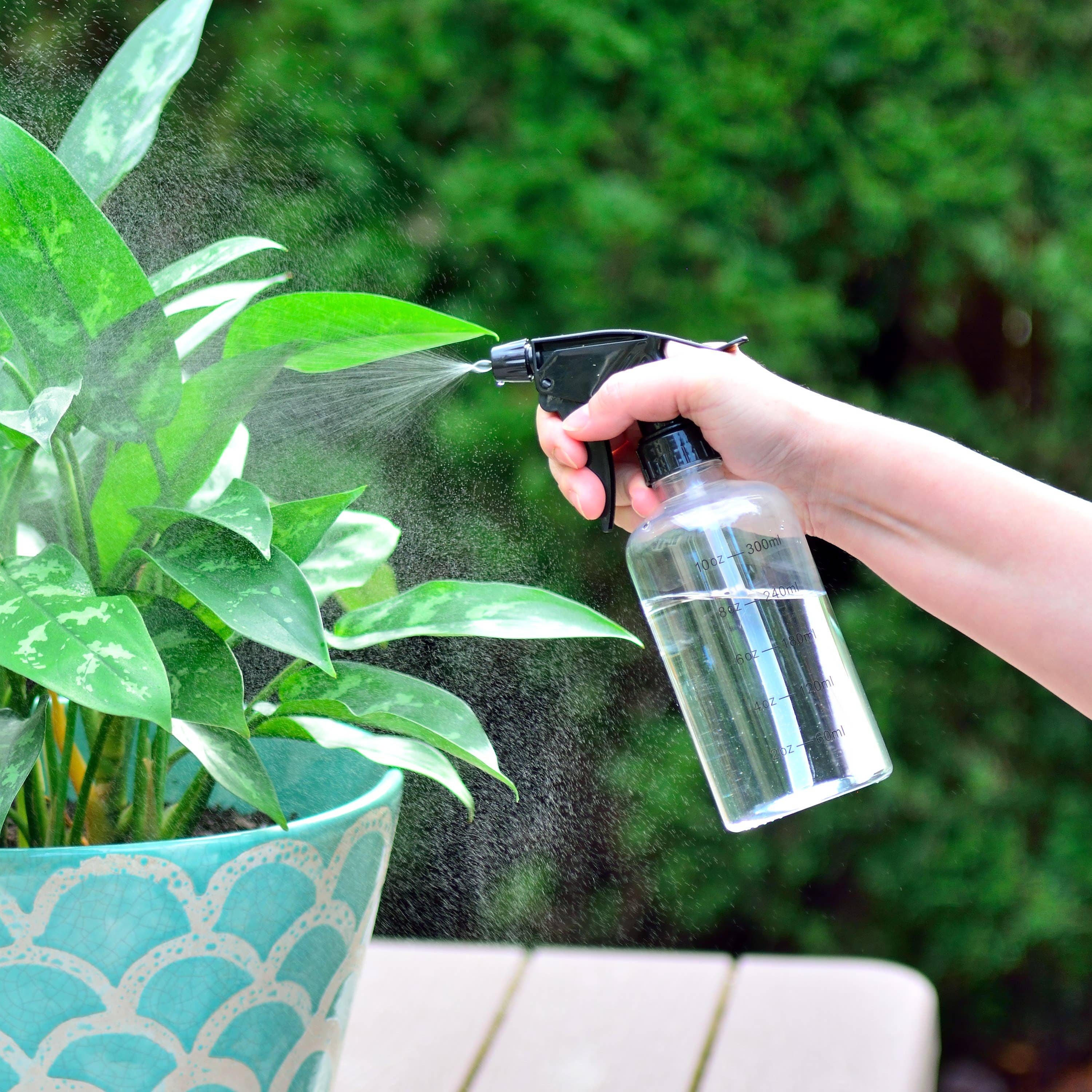 Youngever - Wholesale Spray Bottle - Youngever 6 Pack 12OZ Empty Plastic Spray Bottles - Black4