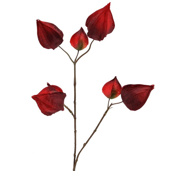 Lantern branch 73 cm red for wholesale by Floratexx